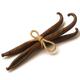 [ Base Notes ]