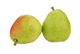 [ Top Notes ]